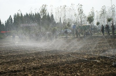 廣西蔬菜大棚微噴頭廠家|微噴頭供應圖片|廣西蔬菜大棚微噴頭廠家|微噴頭供應產品圖片由河北潤田節水設備公司生產提供-