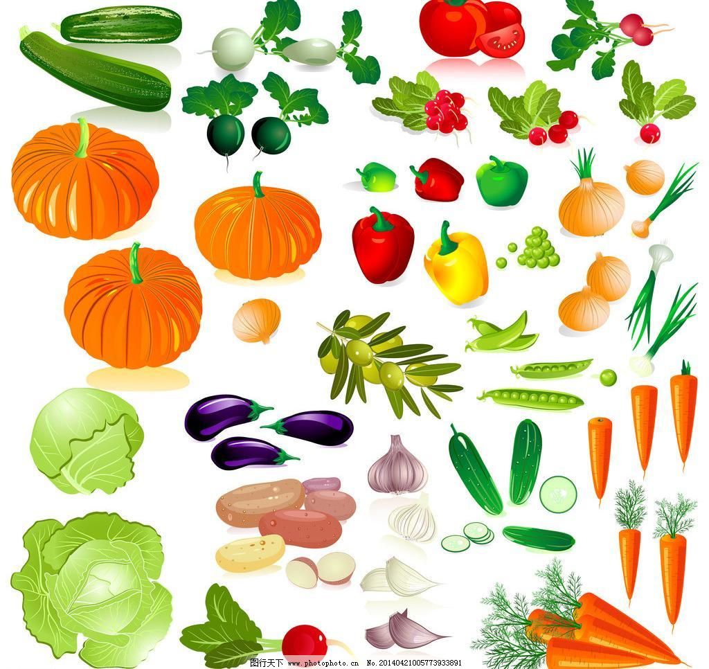 蔬菜之美 大蒜、番茄、橄欖、胡蘿卜與黃瓜的營養(yǎng)與烹飪探秘