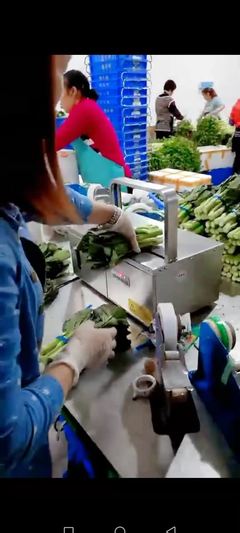 智能農(nóng)業(yè)革命 一臺設(shè)備如何讓這家工廠的蔬菜銷量翻番